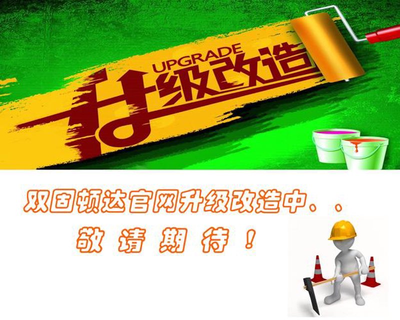 瑞安网站建设：信息化时代的引擎
