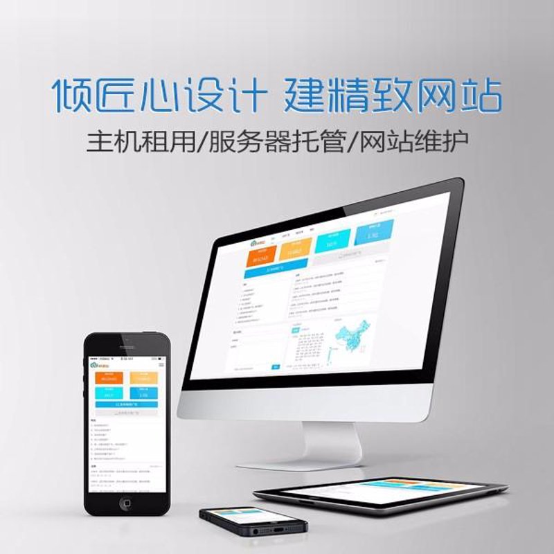 网络发展中的瑞安模式