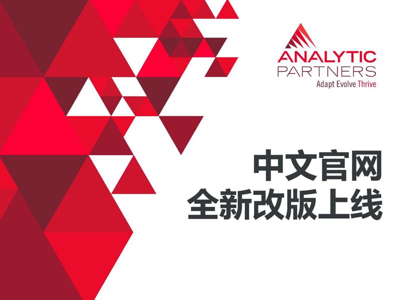 瑞安网站建设：助力企业数字转型
